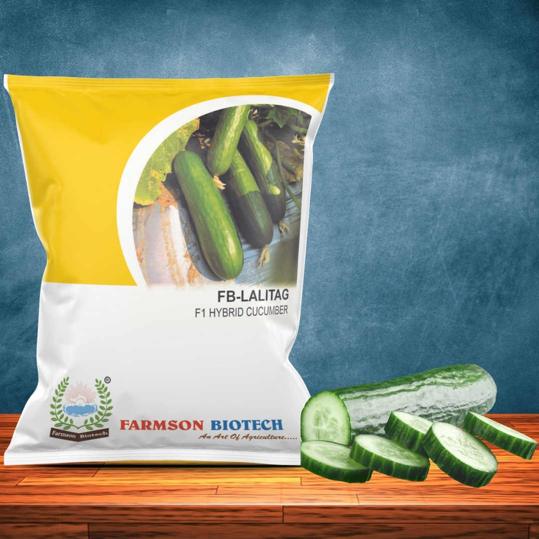 Cucumber Seeds -Lalitag F1 Hybrid - Cultivation Type: Common