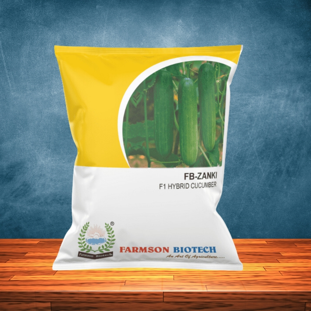 Cucumber Seeds Fb-zanki F1 Hybrid - Cultivation Type: Common