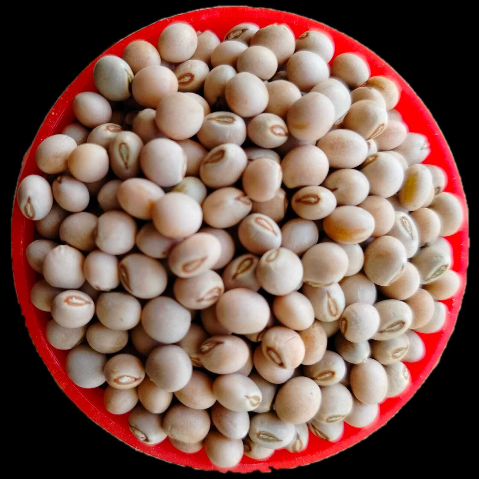Fule Pushpa Pigeon Pea Seeds - Admixture (%): 2%