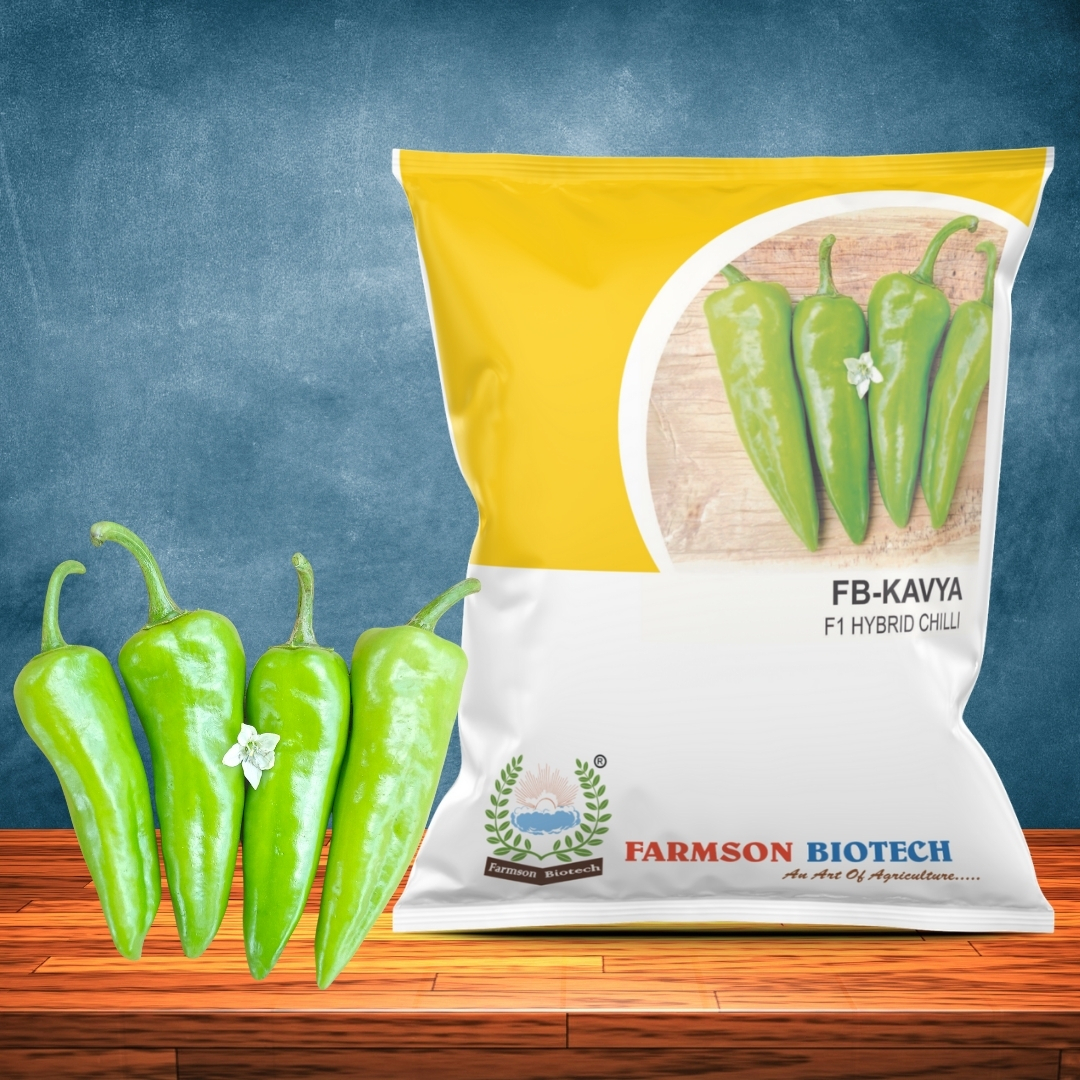 Chilli Seeds Fb-kavya F1 Hybrid - Cultivation Type: Common