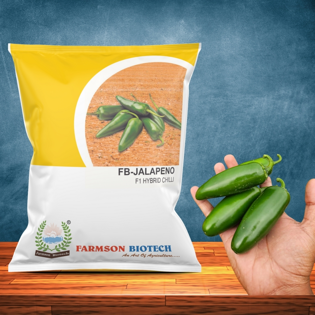 Chilli Seeds Fb-jalapeno F1 Hybrid - Dark Green Thick Skin, Cylindrical Shape 5-7cm Length | 95%-99% Purity, 9 Months Shelf Life, High Yield