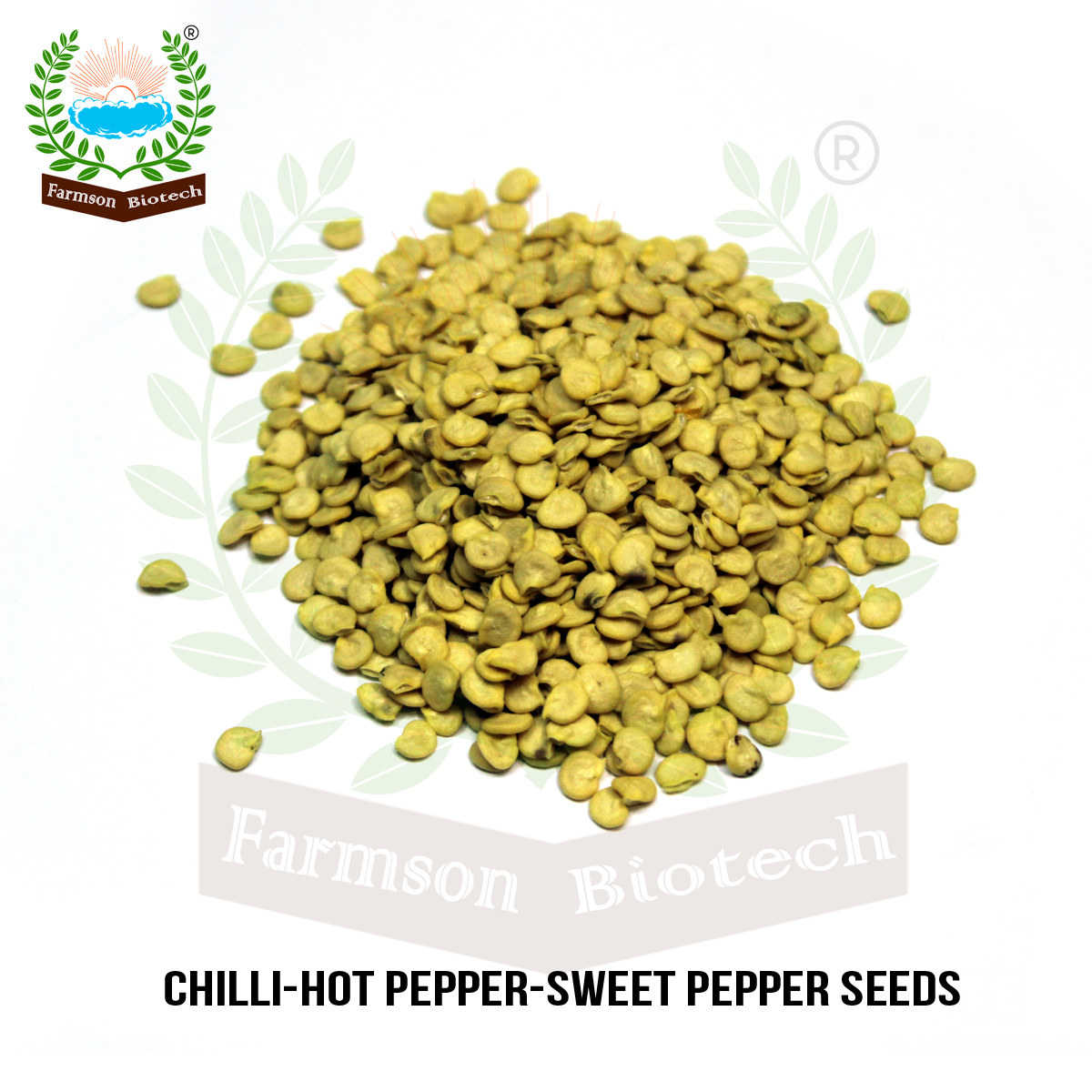 Chilli Seeds Fb-jalapeno F1 Hybrid - Dark Green Thick Skin, Cylindrical Shape 5-7cm Length | 95%-99% Purity, 9 Months Shelf Life, High Yield