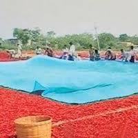 नीली तिरपाल कवर