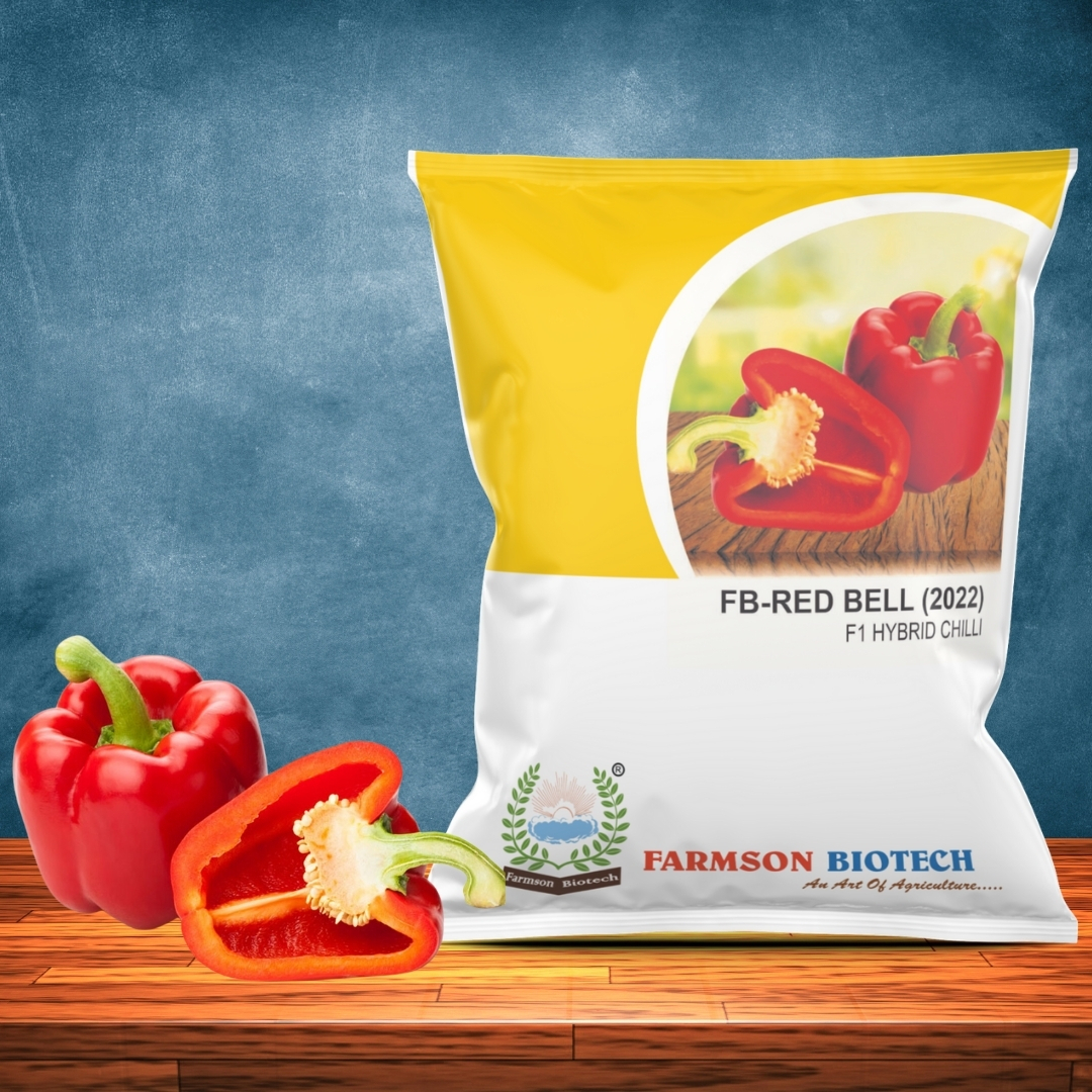 Chilli Seeds Fb-red Bell 2022 F1 Hybrid - Cultivation Type: Common