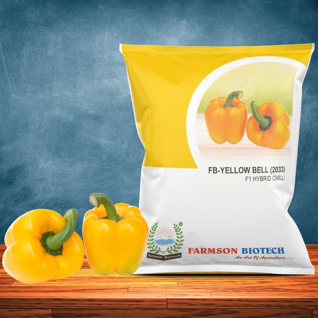 Chilli Seeds -Yellow Bell 2033 F1 Hybrid - Cultivation Type: Common