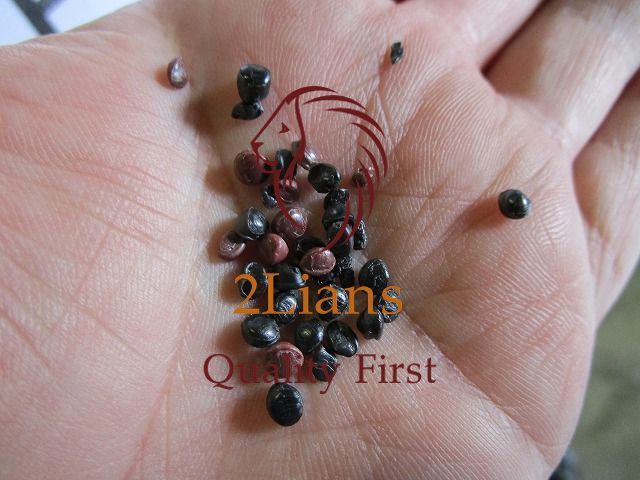 Gpps Repro Pellet Colored - 25kg Net Paper Bag | Colored, Plastic Type: Gpps, Shape: Pellet, Type: Repro Pellet