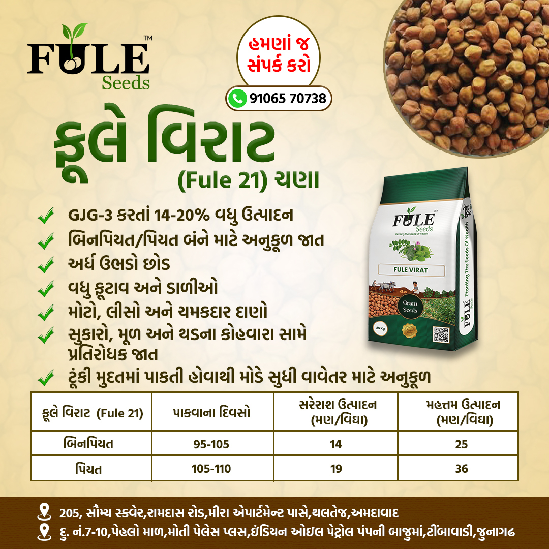 Fule Virat Fule 21 Premium Seeds