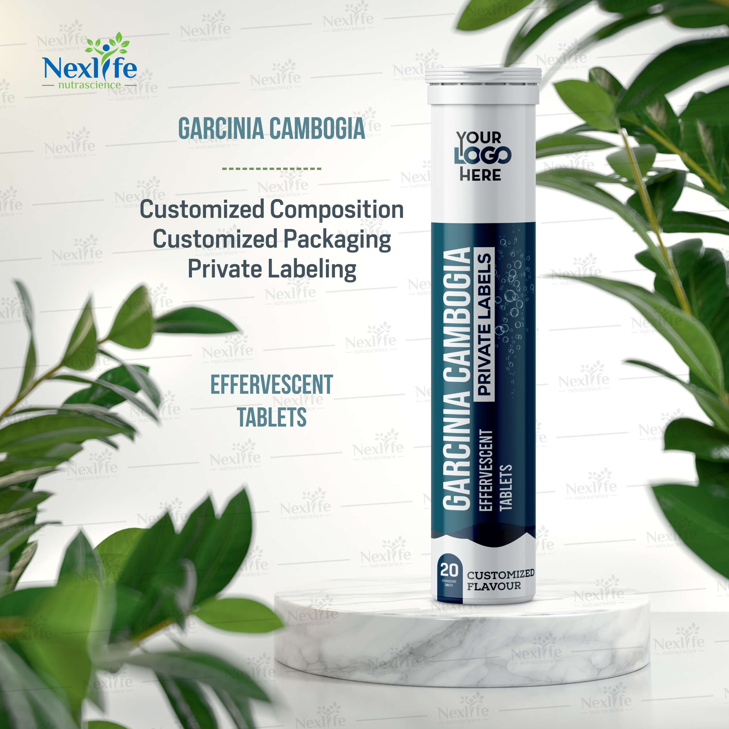 Garcinia Cambogia Effervescent Tablets - Origin: India