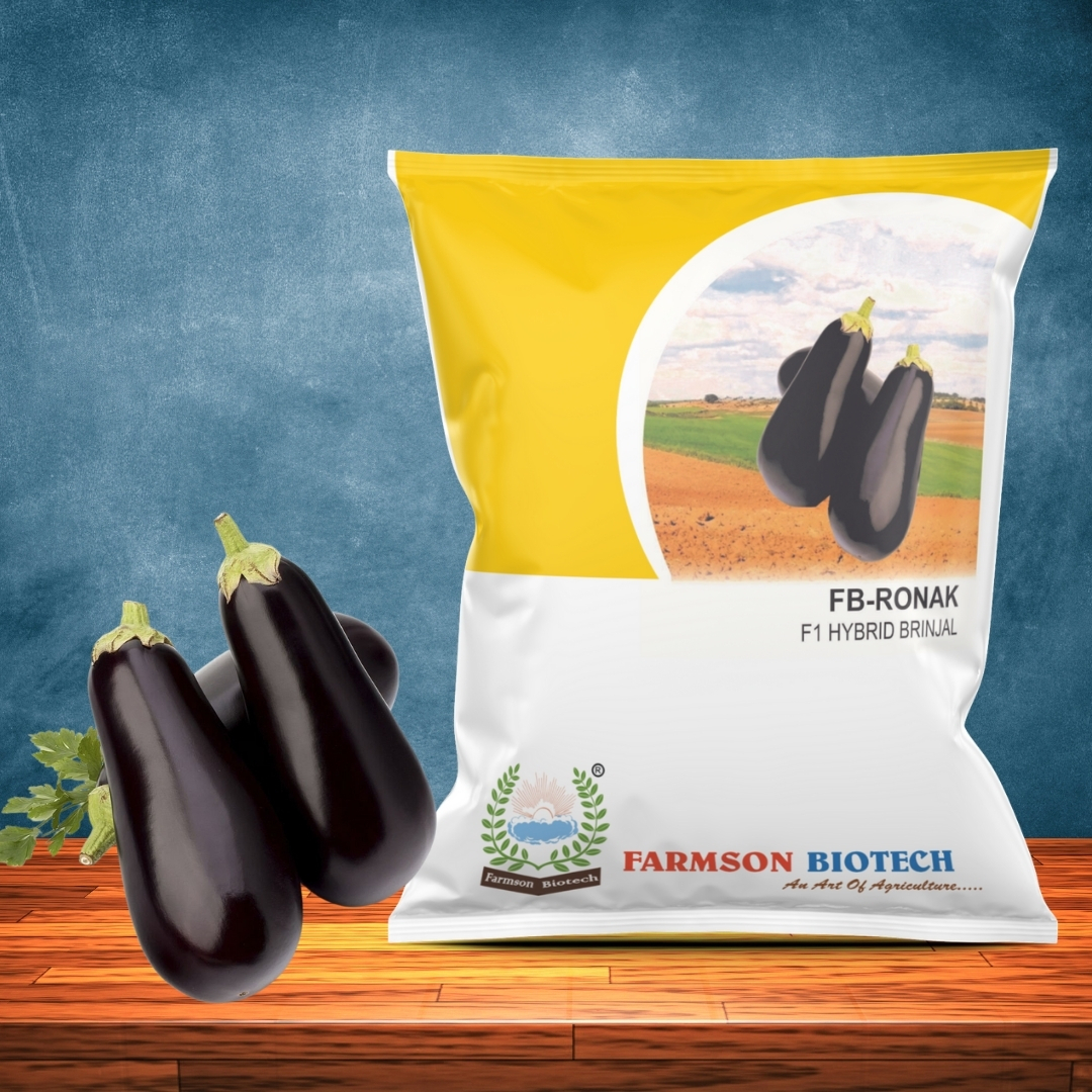 Brinjal Seeds Fb-ronak F1 Hybrid - Open Plant Habit, Teardrop Shape, Dark Violet Shiny Fruits 10-14 Cm Length | 95%-99% Purity, 9 Months Shelf Life, 300-400 Gm Average Weight
