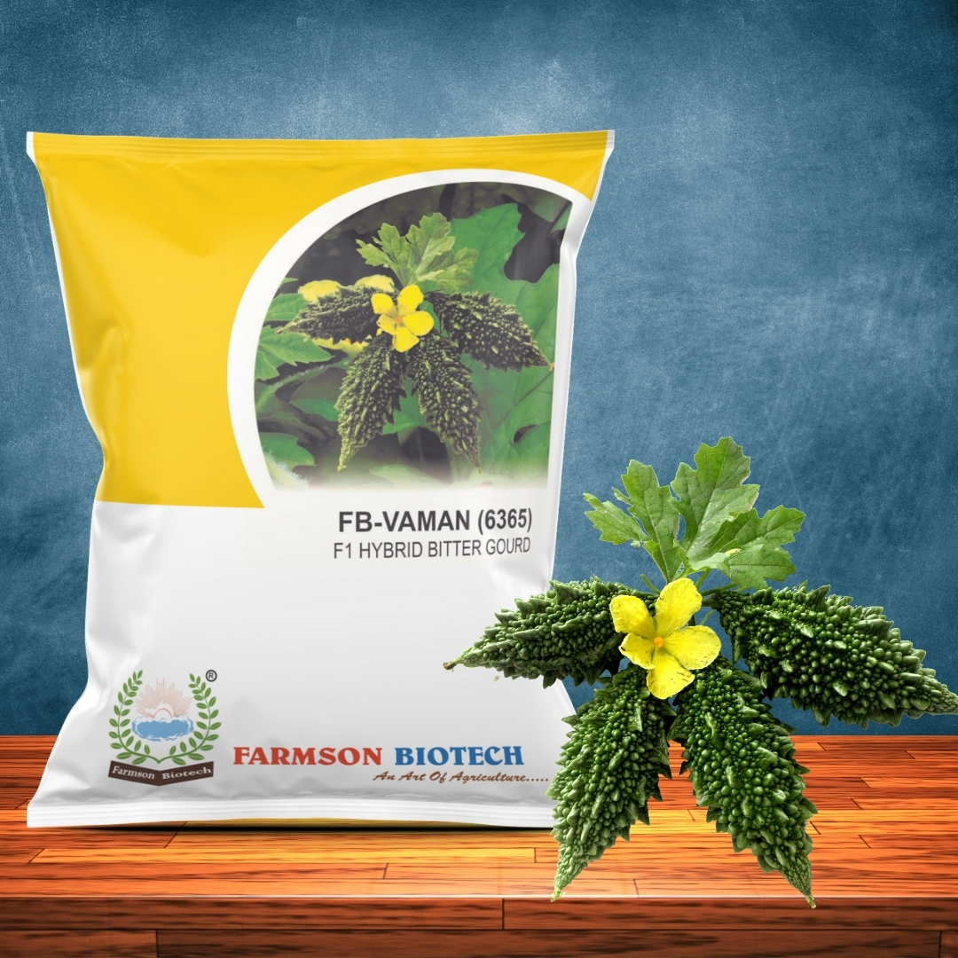 Bitter Gourd Seeds -Vaman 6365 F1 - Gynoecious Hybrid, 6-8 Cm Length, Dark Green Color, High Yield Of 50-60 Fruits/plant, 95%-99% Purity