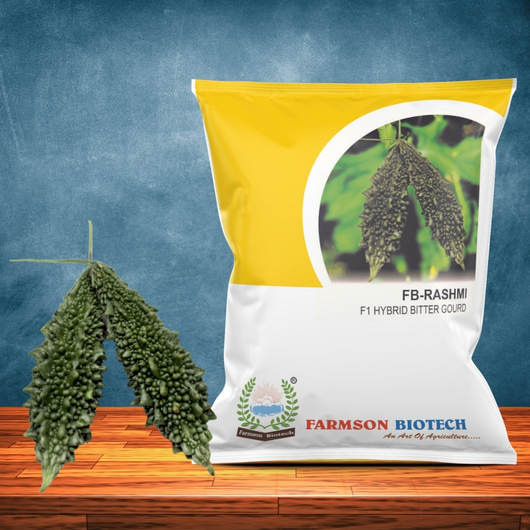 Fb-rashmi F1 Hybrid Bitter Gourd Seeds - Medium Early Maturity 12-15 Cm Length, Dark Green Color , High Yielding Variety With 95%-99% Purity