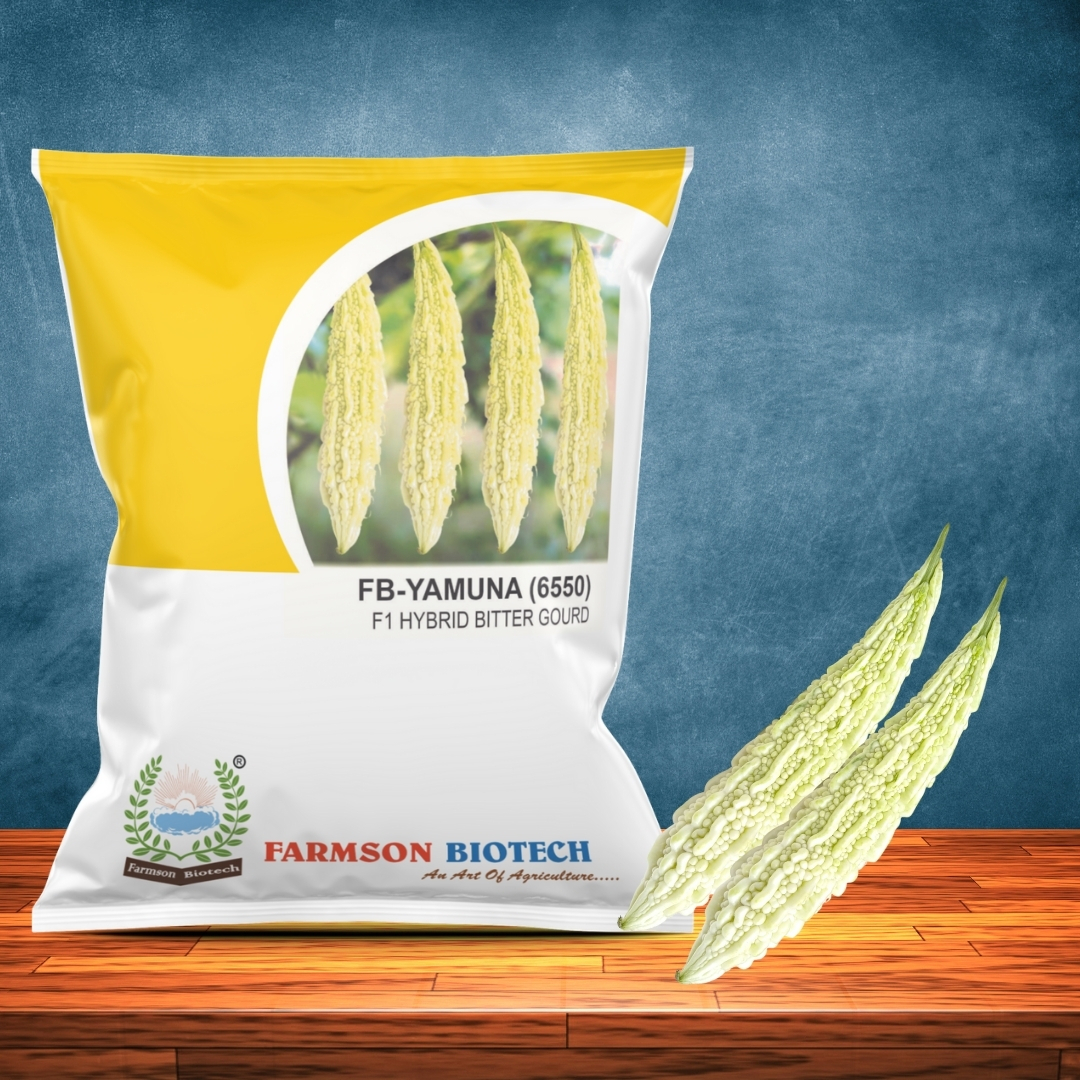 Bitter Gourd Seeds -Yamuna 6550 F1 - Cultivation Type: Common