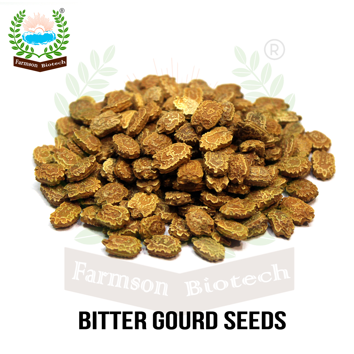 Bitter Gourd Seeds -Jamuna 6525 F1 - Color: Deep Red And Crispy
