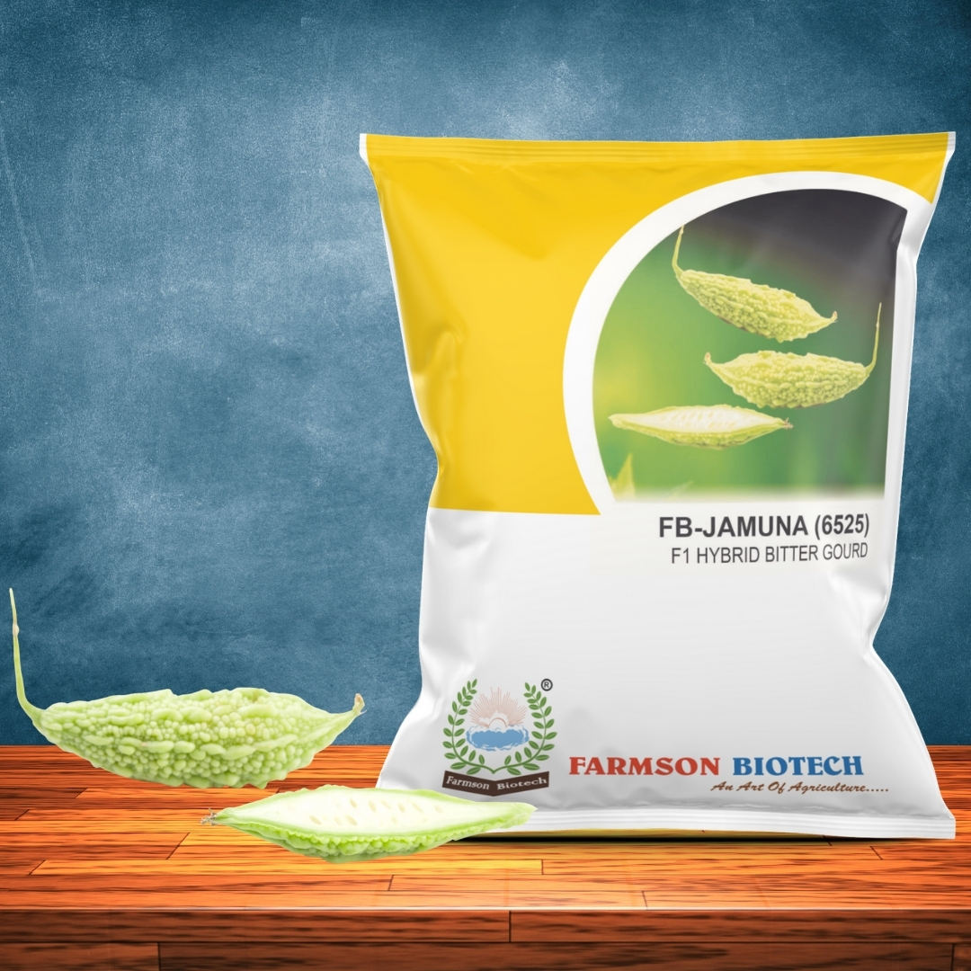 Bitter Gourd Seeds -Jamuna 6525 F1 - Color: Deep Red And Crispy