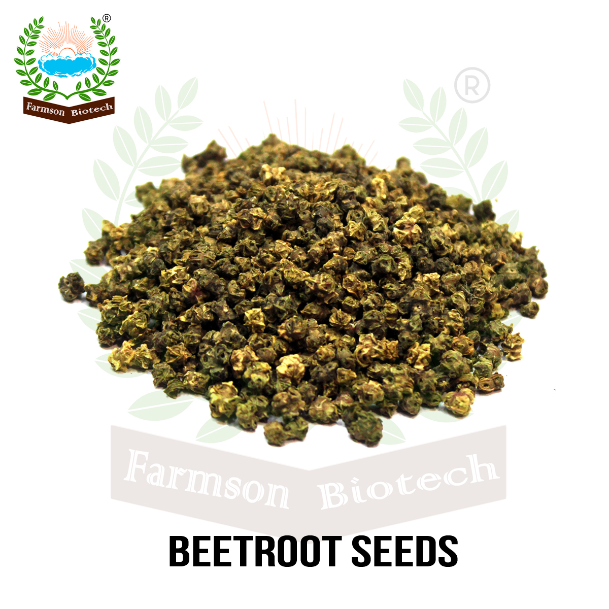 Beetroot Seeds Fb-red Ball - Cultivation Type: Common