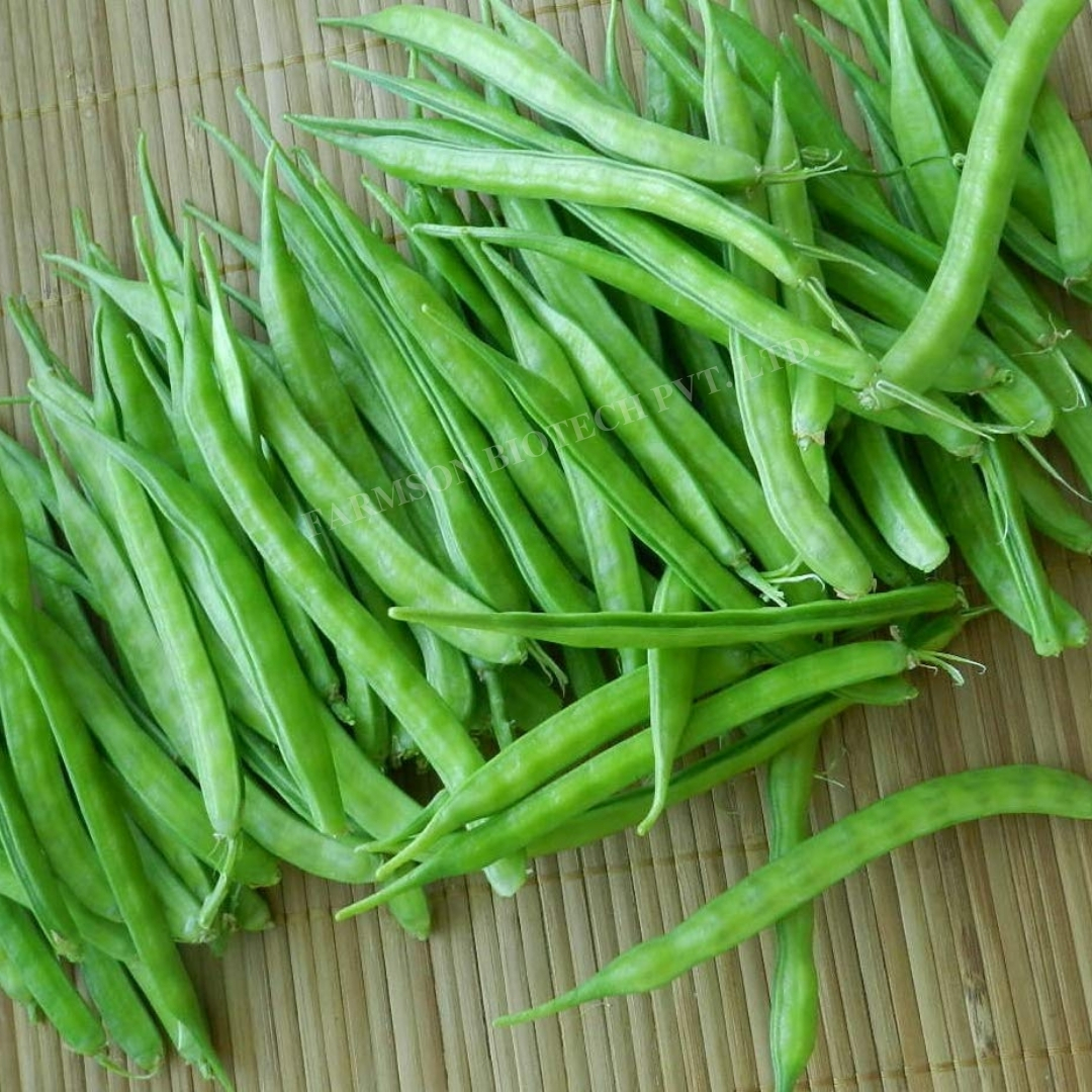 Cluster Bean Seeds Fb-suvarn - Cultivation Type: Common