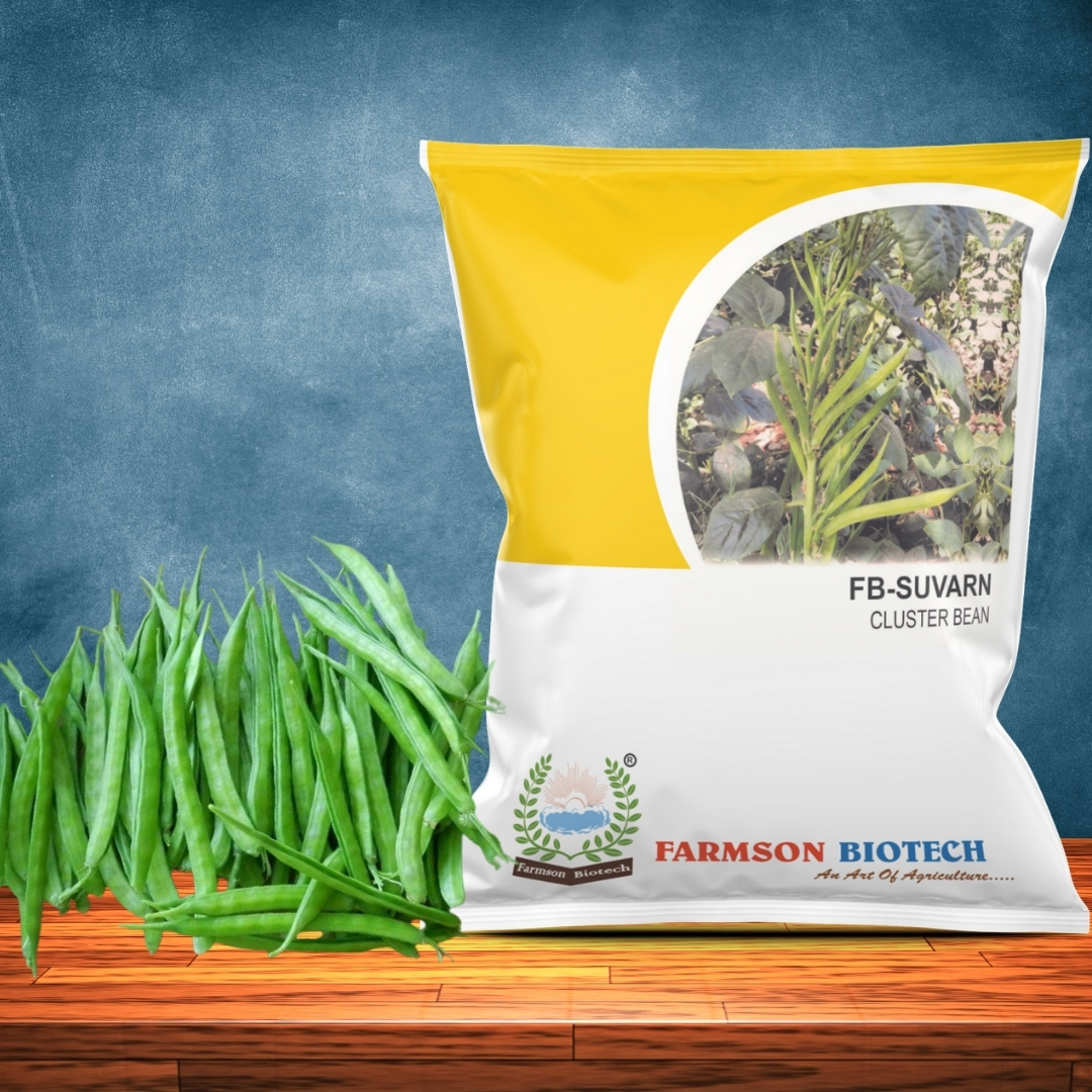 Cluster Bean Seeds Fb-suvarn - Cultivation Type: Common