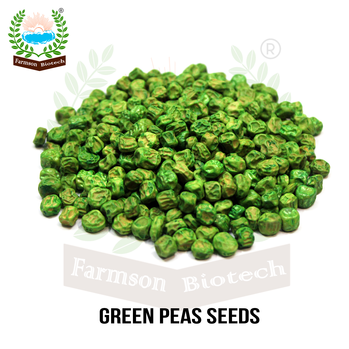 Pea Seeds -Griva (Gs-10) - Green, 11-12 Cm Pod Length, 8-10 Grains Per Pod, Tolerant To Powdery Mildew, Average Yield 4-6 Tons/acre
