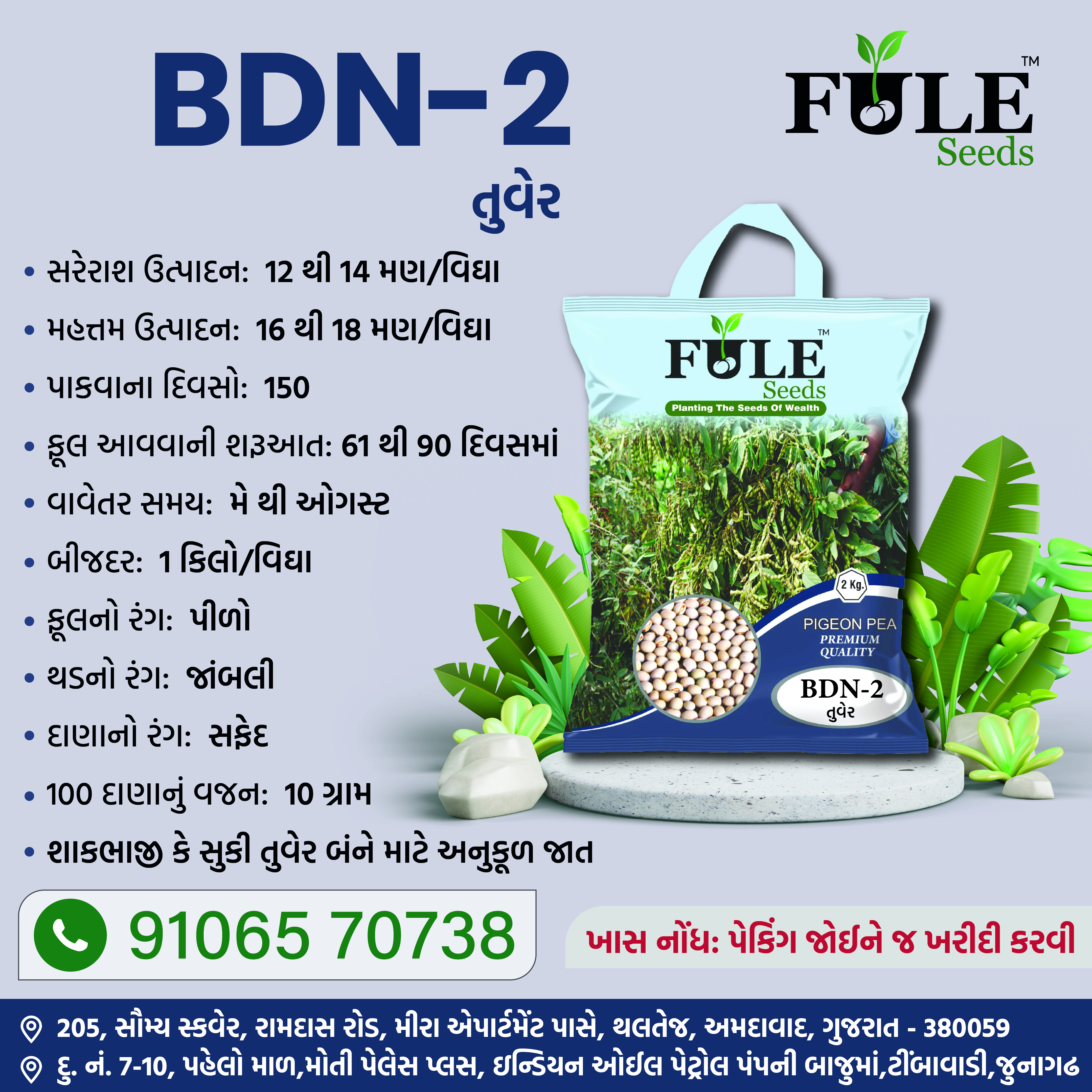 Bdn-2 Pigeon Pea Seed - Maturity 140-150 Days, Yield 6-9 Quintal/acre, Yellow Flower & White Seeds | 98% Purity, 2 Kg Weight, 9% Moisture Level