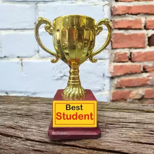 6.25 Inch Golden Trophy Cup For Student Trophy - Fiber Material, 6.25 Inches Tall, Golden & Brown Color | Customizable Logo, Display Holder Included