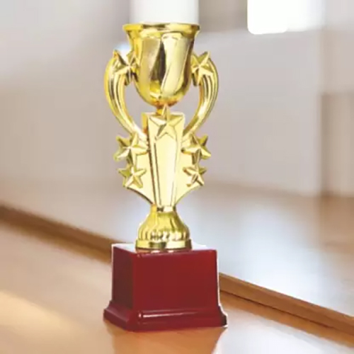 7 Inch Student Winner Trophies - Style: Artificial