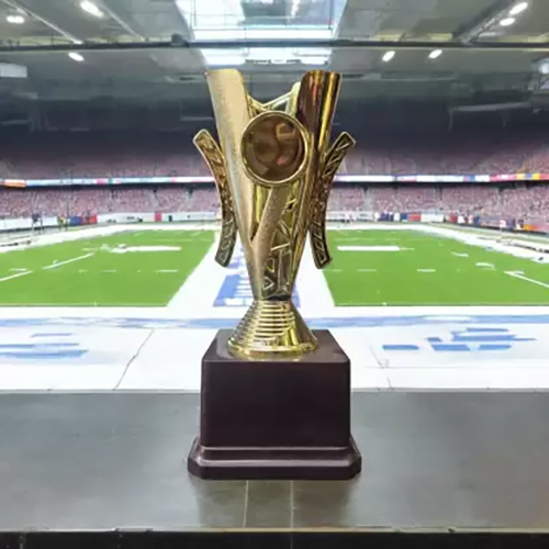 9 Inch Winners Trophy - Style: Artificial