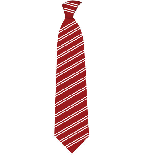 School Uniform Tie - Polyester, Size S | Age Group 4-19, Unisex, Customizable Logo, Suitable For High School, Middle School, Primary School
