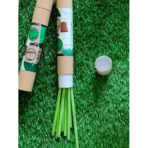Plantable Seed Pencil - Body Material: Recycled Paper
