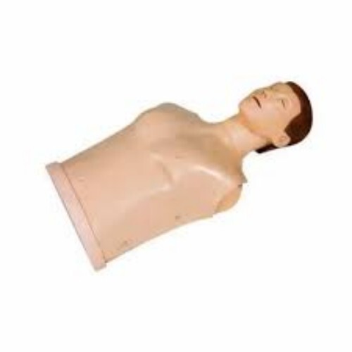 Cpr1900- Half-body Cpr  Training Manikin - Color: Skin Tone