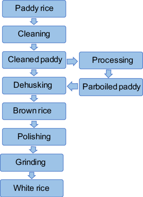 Ir64 Non Basmati Rice - Color: White