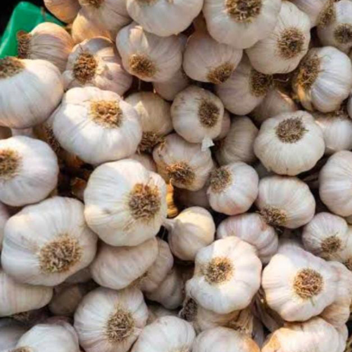 सफेद लहसुन