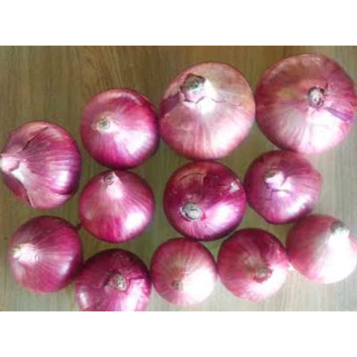 ताज़ी लाल प्याज