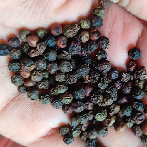 काली मिर्च