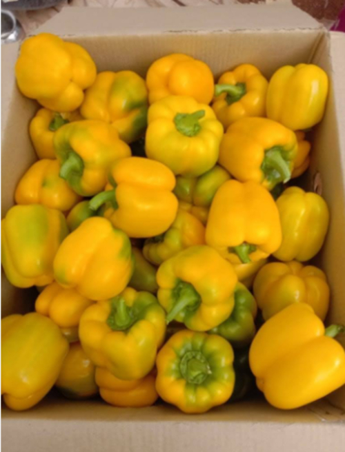 Bell Pepper - Moisture (%): 0 %