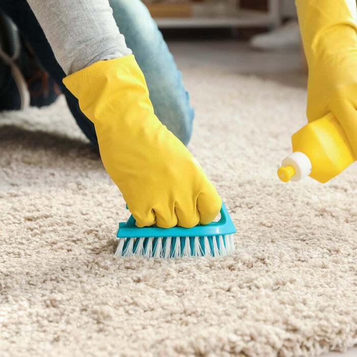 Scrubber Brush By Deodap International Private Limited