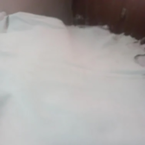 Sheep White Crust - Pattern: Plain