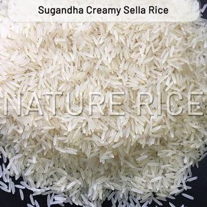 Non-Basmati Rice