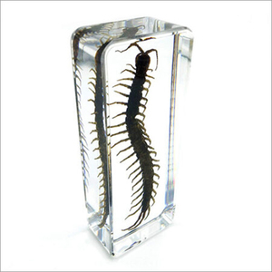 Biology Lab Equipment