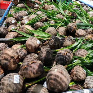 Coconut Products