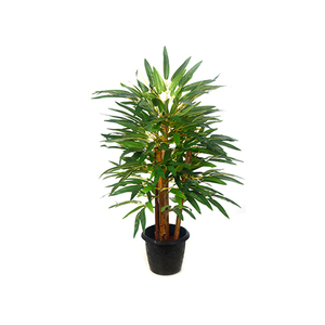 Nartural Plants
