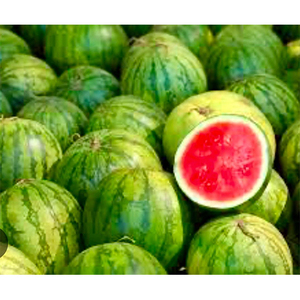 Agro And Health Products