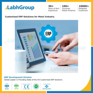Business Process Automation ERP Services