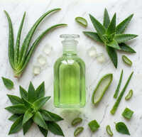 Personal Care Extracts
