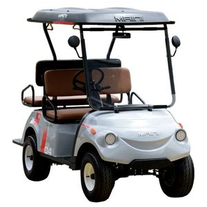 Buggy And Golf Cart