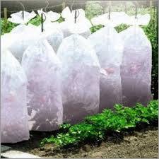 Non Woven Fabric For Agriculture