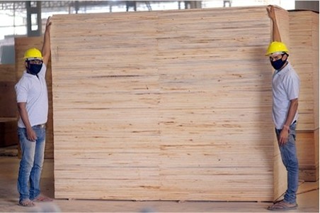 Plywood