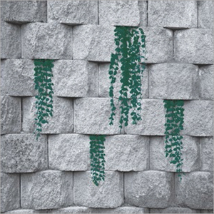 White Body GVT Tiles