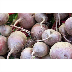 Agro Products