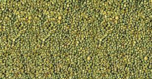 Green Millet