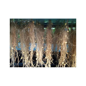 Aeroponics